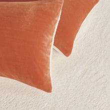 Berryl Teddy Sherpa Velvet European Pillowcases (Set of 2)